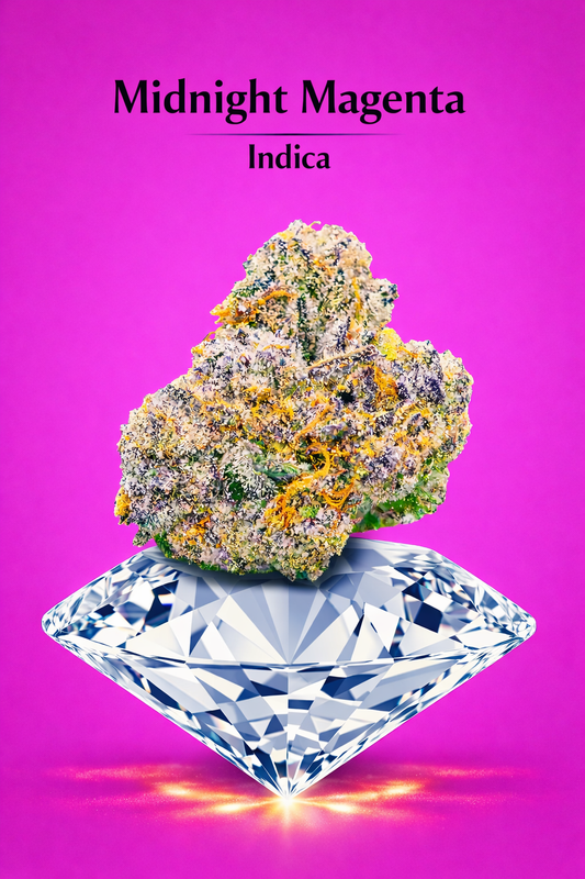 Midnight Magenta (1 pound)